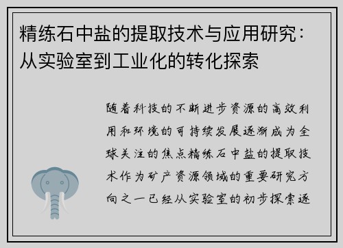 精练石中盐的提取技术与应用研究:从实验室到工业化的转化探索 精练石中盐的提取技术与应用研究:从实验室到工业化的转化探索